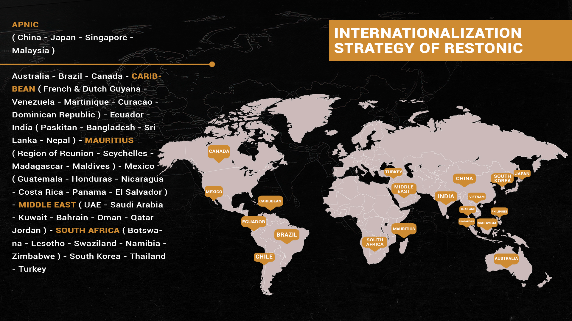 Internationalization Strategy of Restonic
